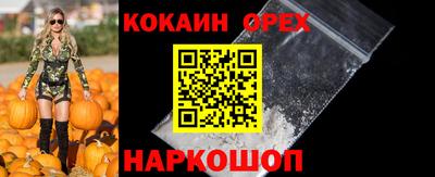 индика Тара
