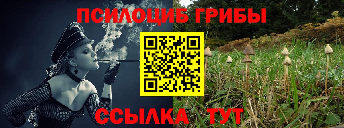 Галлюциногенные грибы GOLDEN TEACHER Балашиха