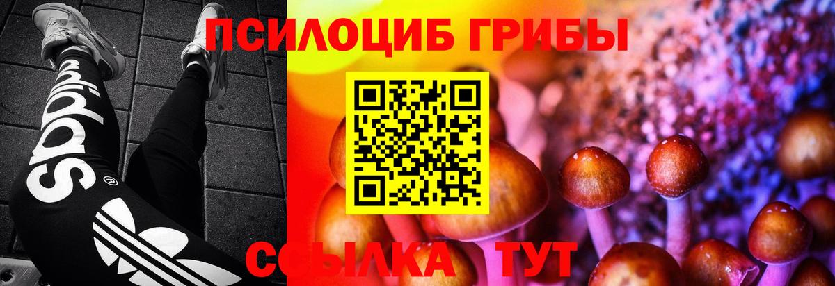 Балашиха  где купить   Вход с VPN  Псилоцибиновые грибы ЛСД  Псилоцибиновые грибы прущие грибы 